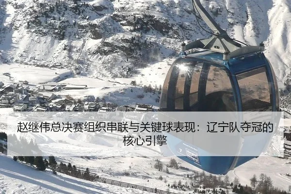 赵继伟总决赛组织串联与关键球表现：辽宁队夺冠的核心引擎
