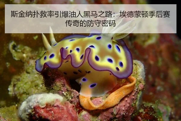 si-jin-na-pu-jiu-lv-yin-bao-you-ren-hei-ma-zhi-lu-ai-de-meng-dun-ji-hou-sai-chuan-qi-de-fang-shou-mi-ma-2-888.jpg