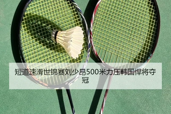 duan-dao-su-hua-shi-jin-sai-liu-shao-ang-mi-li-ya-han-guo-han-jiang-duo-guan-2-310.jpg
