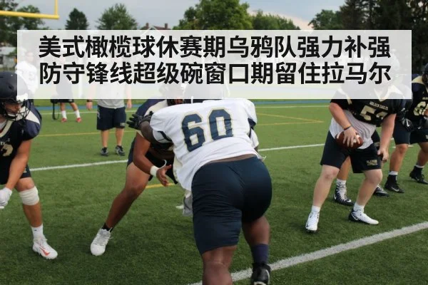 美式橄榄球休赛期乌鸦队强力补强防守锋线超级碗窗口期留住拉马尔